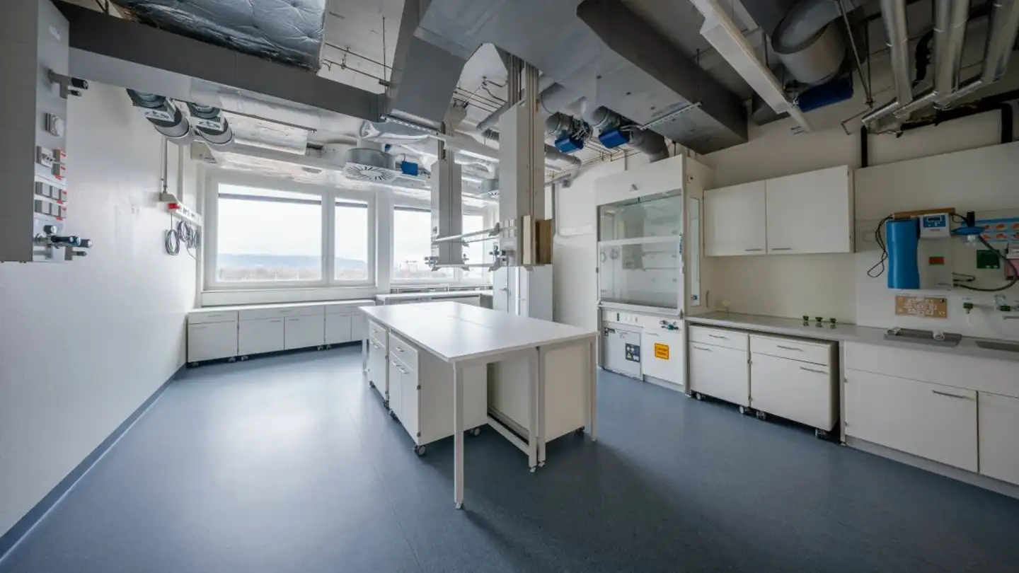 Bürofläche mieten - Hochbergerstrasse 60a, 4057 Basel - Foto 2