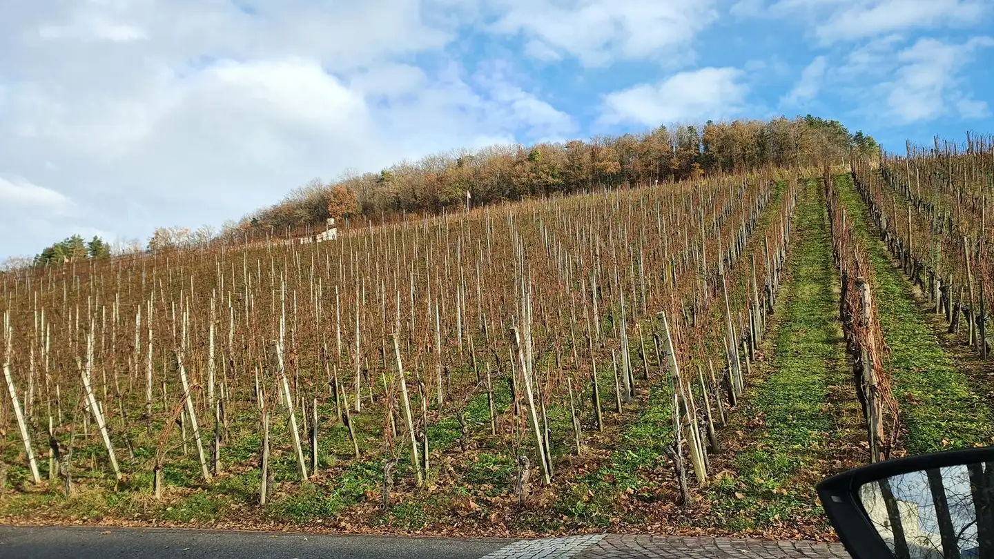 Apartment for rent - 5312 Döttingen - Photo 2