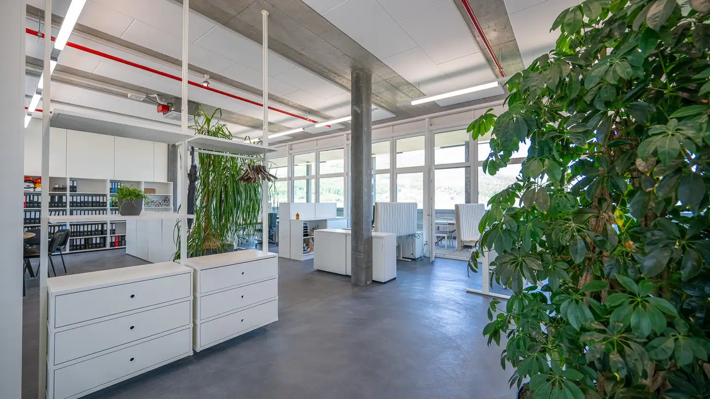 Bürofläche mieten - Eichengasse 3, 4702 Oensingen - Foto 2