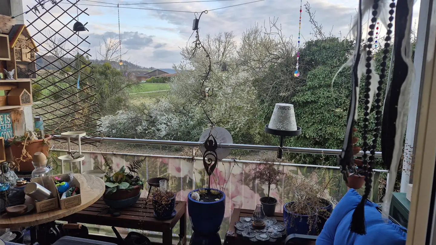 Appartamento in affitto - Insstrasse 19, 3235 Erlach - Foto 3