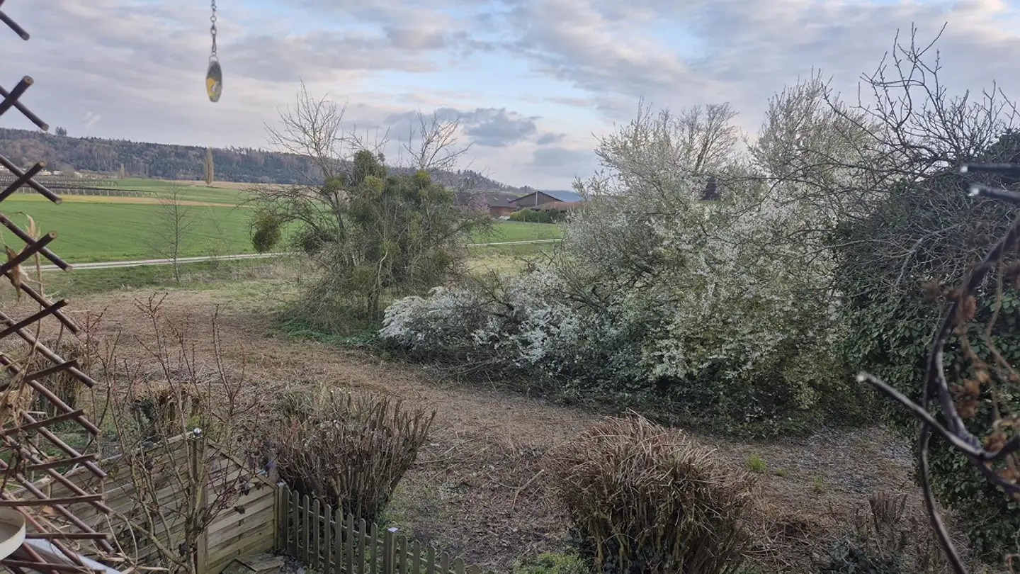 Appartamento in affitto - Insstrasse 19, 3235 Erlach - Foto 4