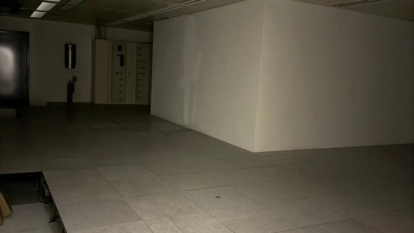 Commerciale in affitto - Avenue Charles Ferdinand Ramuz 90, 1009 Pully - Foto 2