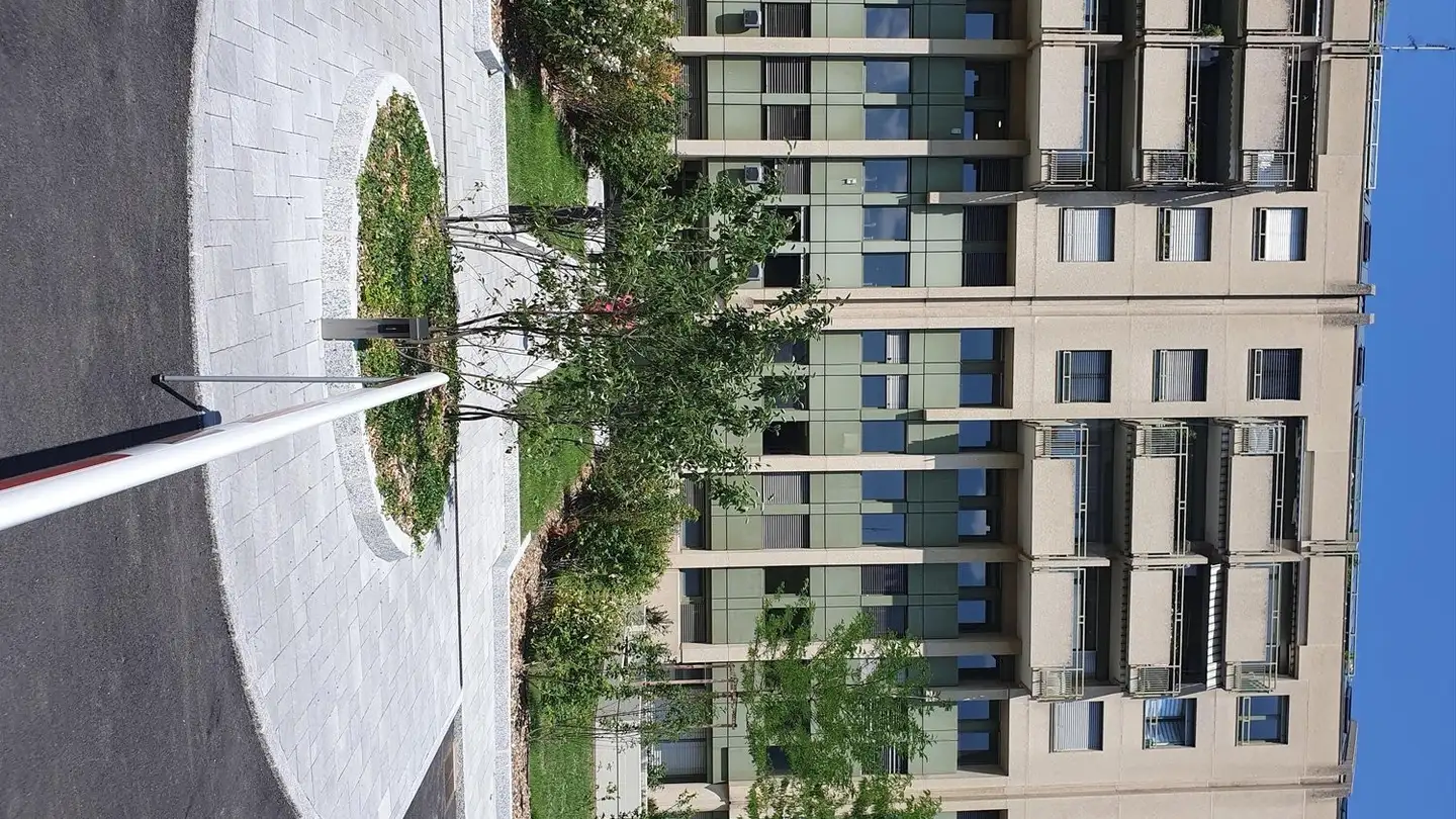 Gewerbe mieten - Rue François- Perréard 16, 1225 Chêne-Bourg - Foto 2