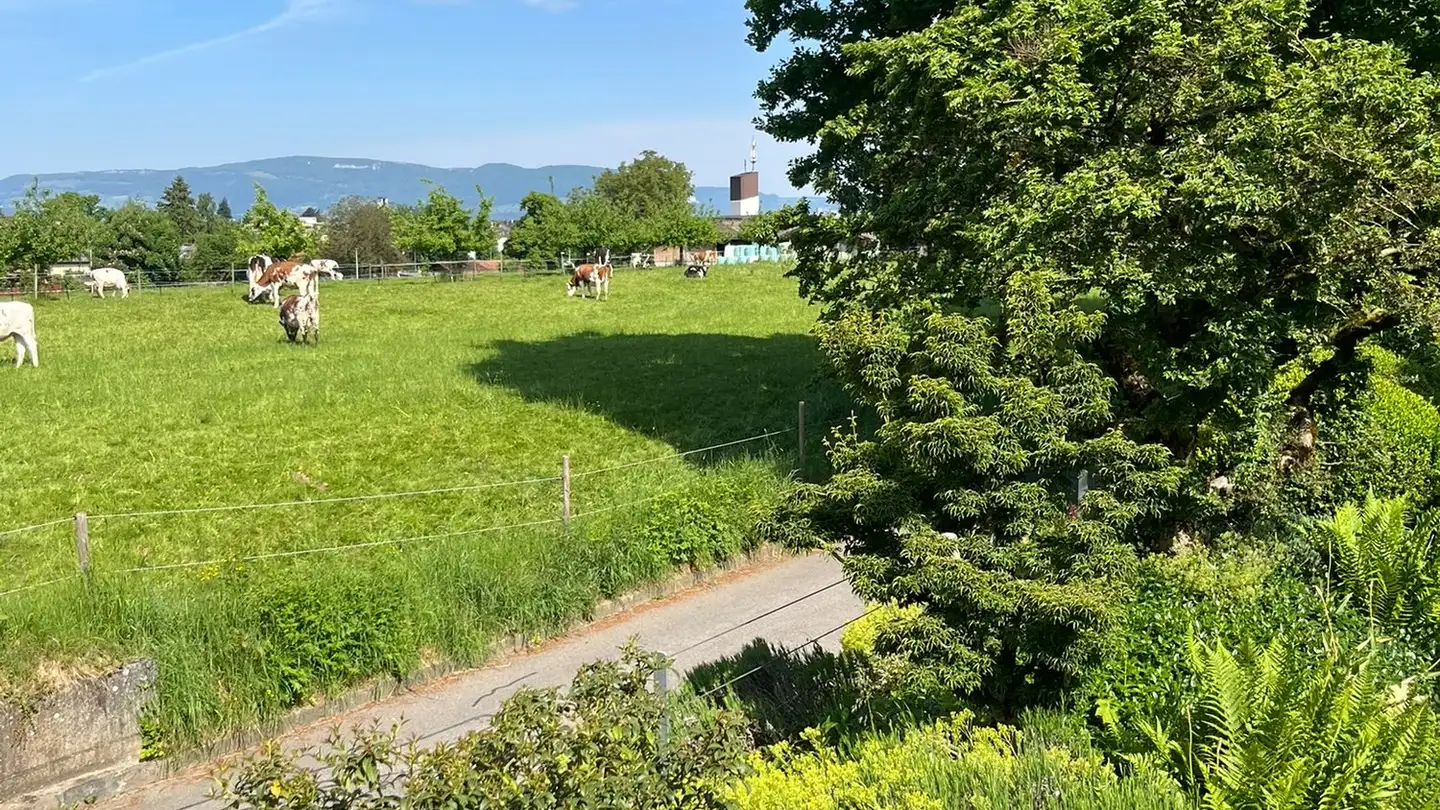 Villa in affitto - Allmengasse 23, 4900 Langenthal - Foto 4