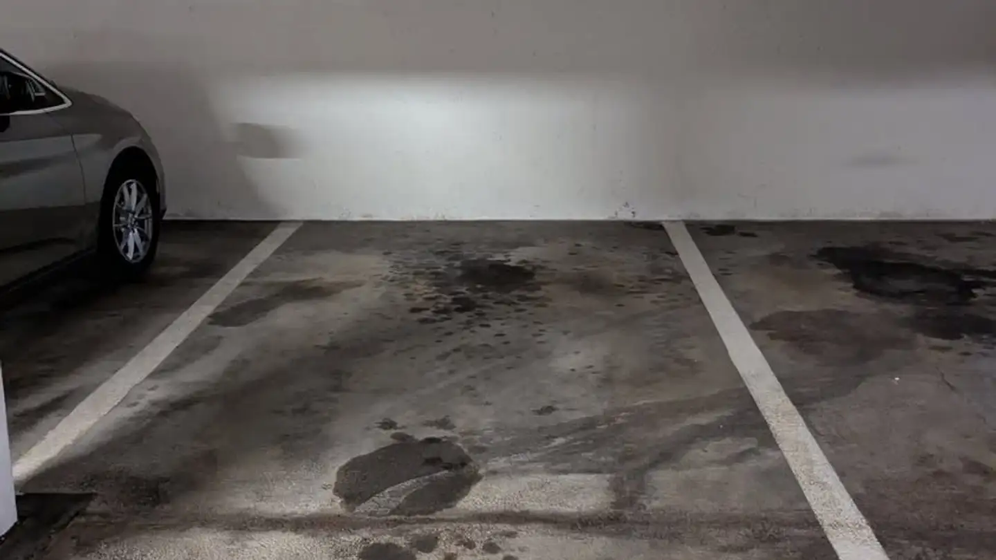 Single garage for rent - 8052 Zürich