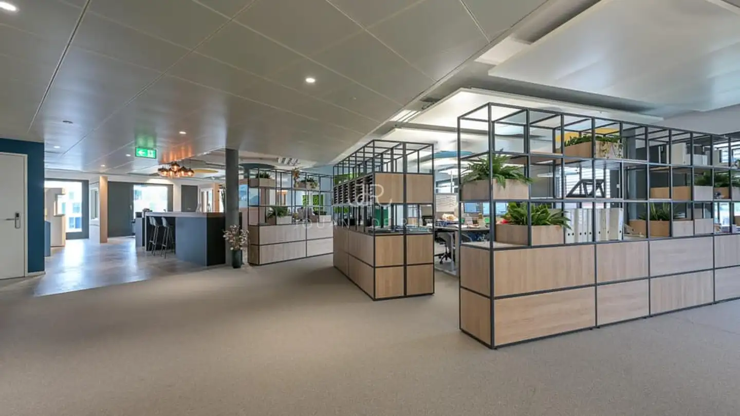 Commerciale in affitto - 1023 Crissier - Foto 4