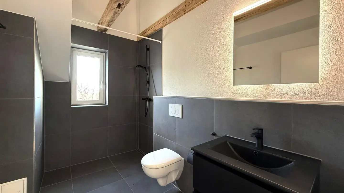 Attic flat for rent - Thannstrasse 13, 9403 Goldach - Photo 4