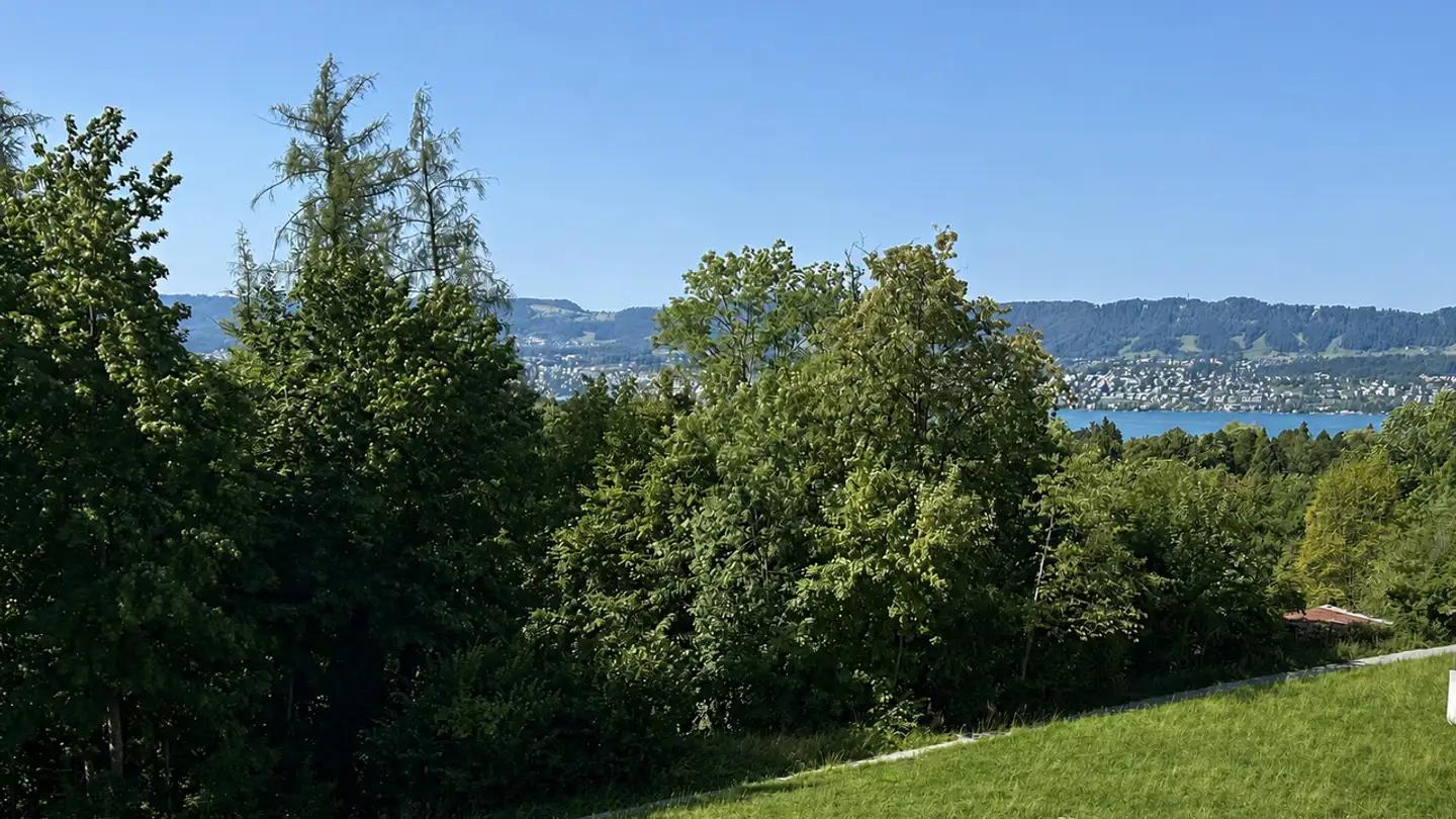 Appartement à vendre - Drusbergstrasse 100, 8053 Zürich