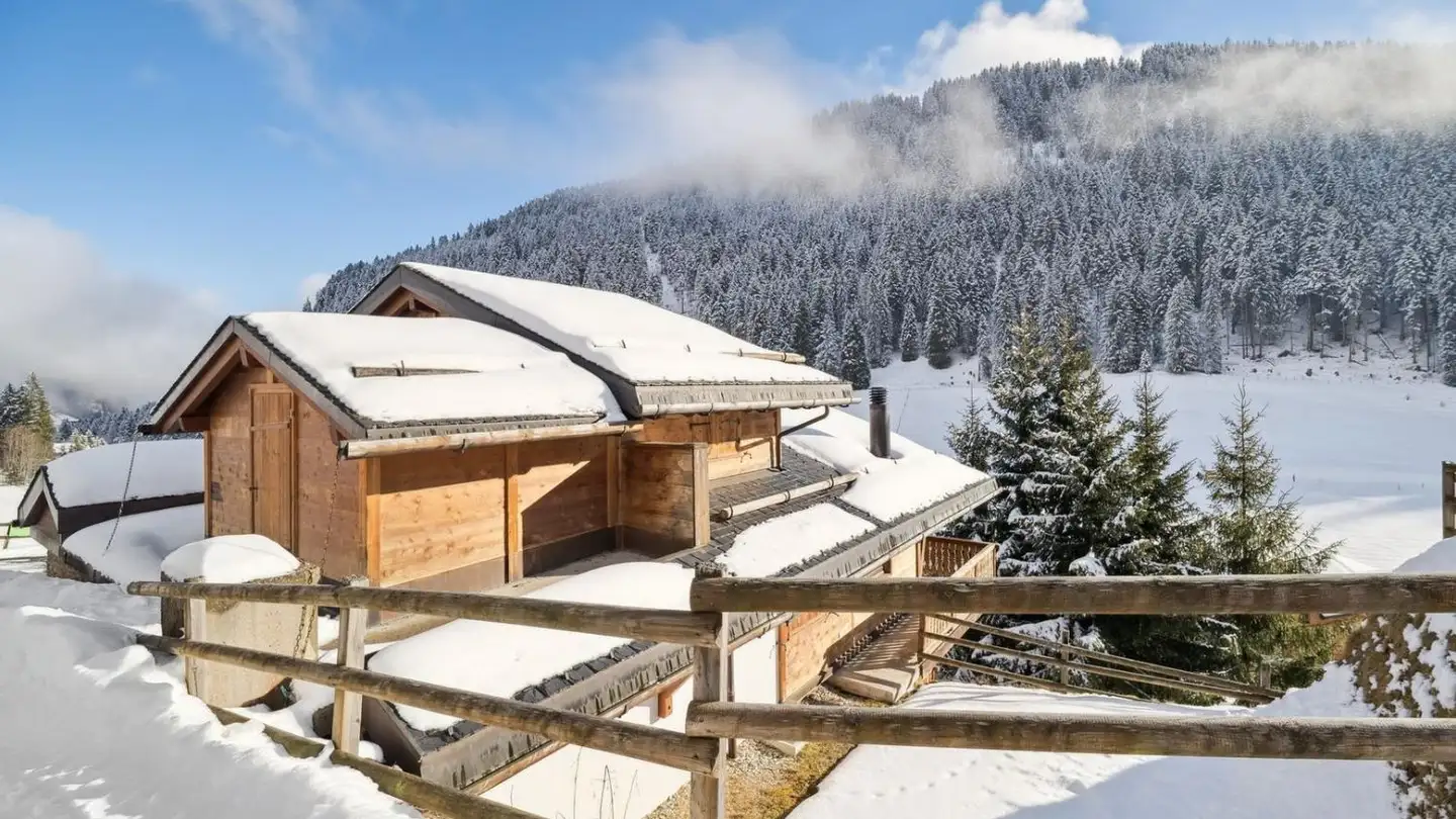 Chalet for sale - 1875 Morgins - Photo 3