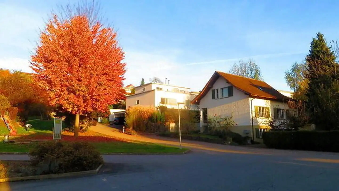 Single house for rent - 3076 Worb - Photo 4