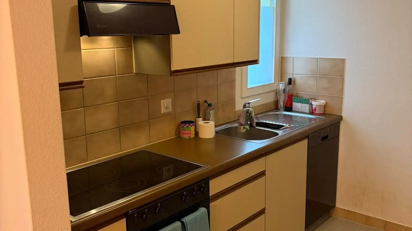 Appartement à louer - Rötihalde 14, 8820 Wädenswil - Photo 4