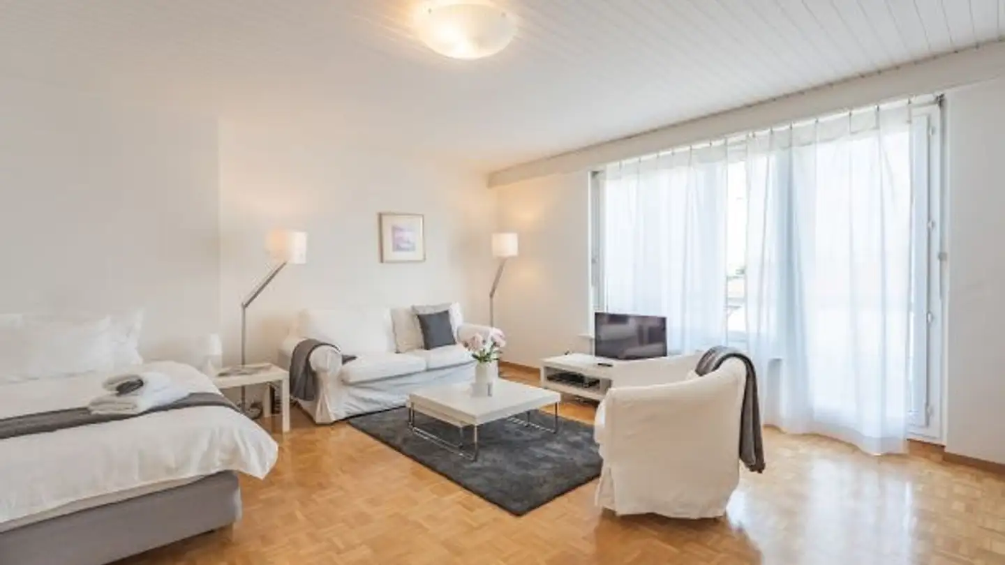 Furnished apartment for rent - Davidsbodenstrasse 28, 4056 Basel - Photo 2