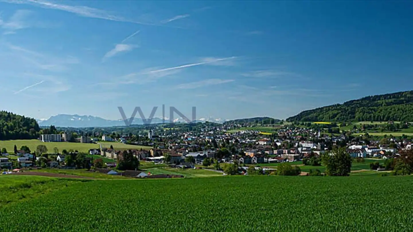 Appartamento in vendita - 5734 Reinach AG