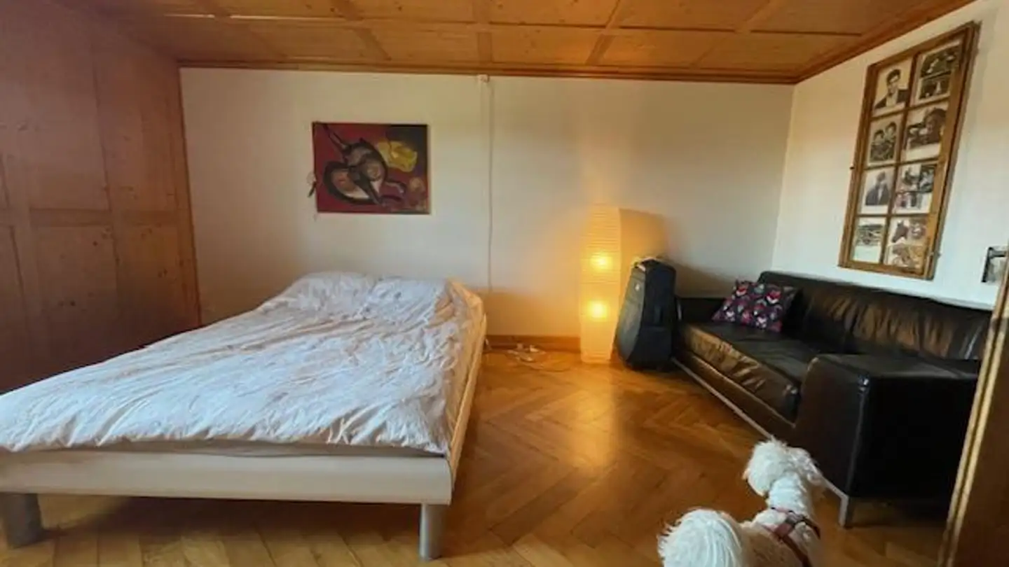 Appartamento ammobiliato in affitto - Bahnstrasse 41, 8610 Uster - Foto 3