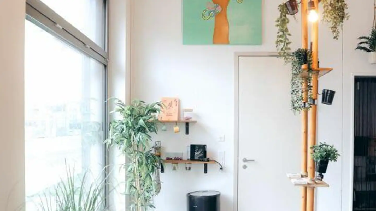 Commerciale in affitto - Geissensteinring 8, 6005 Luzern - Photo 3