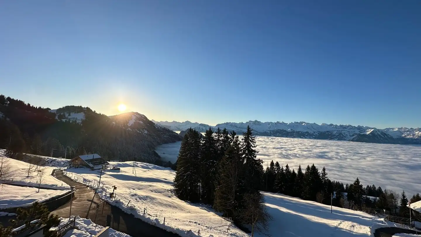 Apartment for rent - Rigiweg 2, 6405 Immensee - Photo 4