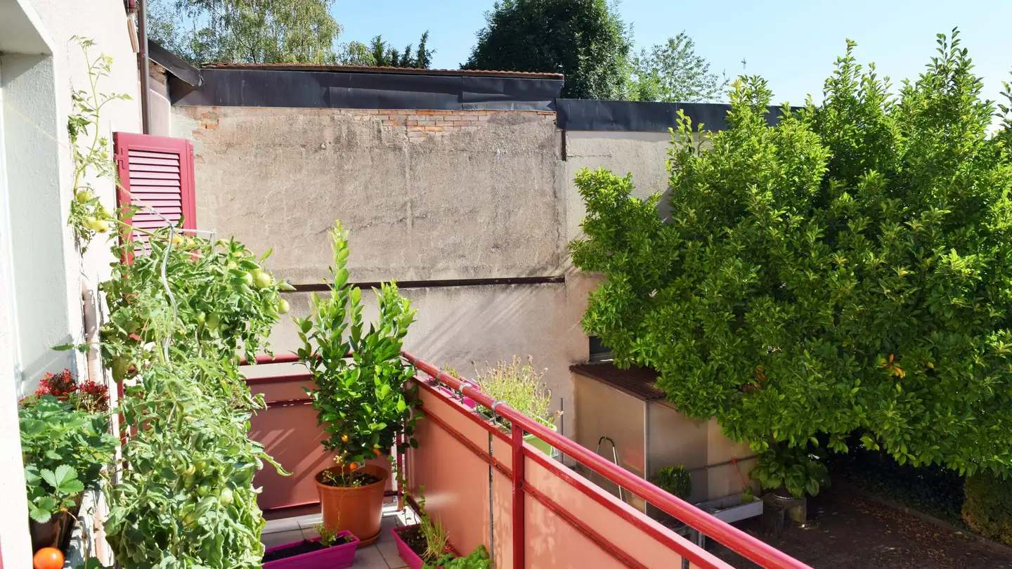 Mixed-use building for sale - 2830 Courrendlin - Photo 2