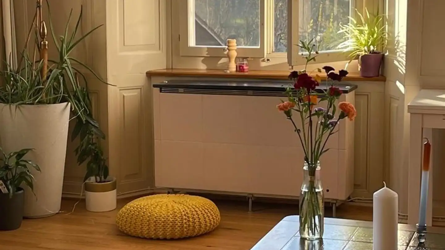 Zimmer mieten - 8610 Uster