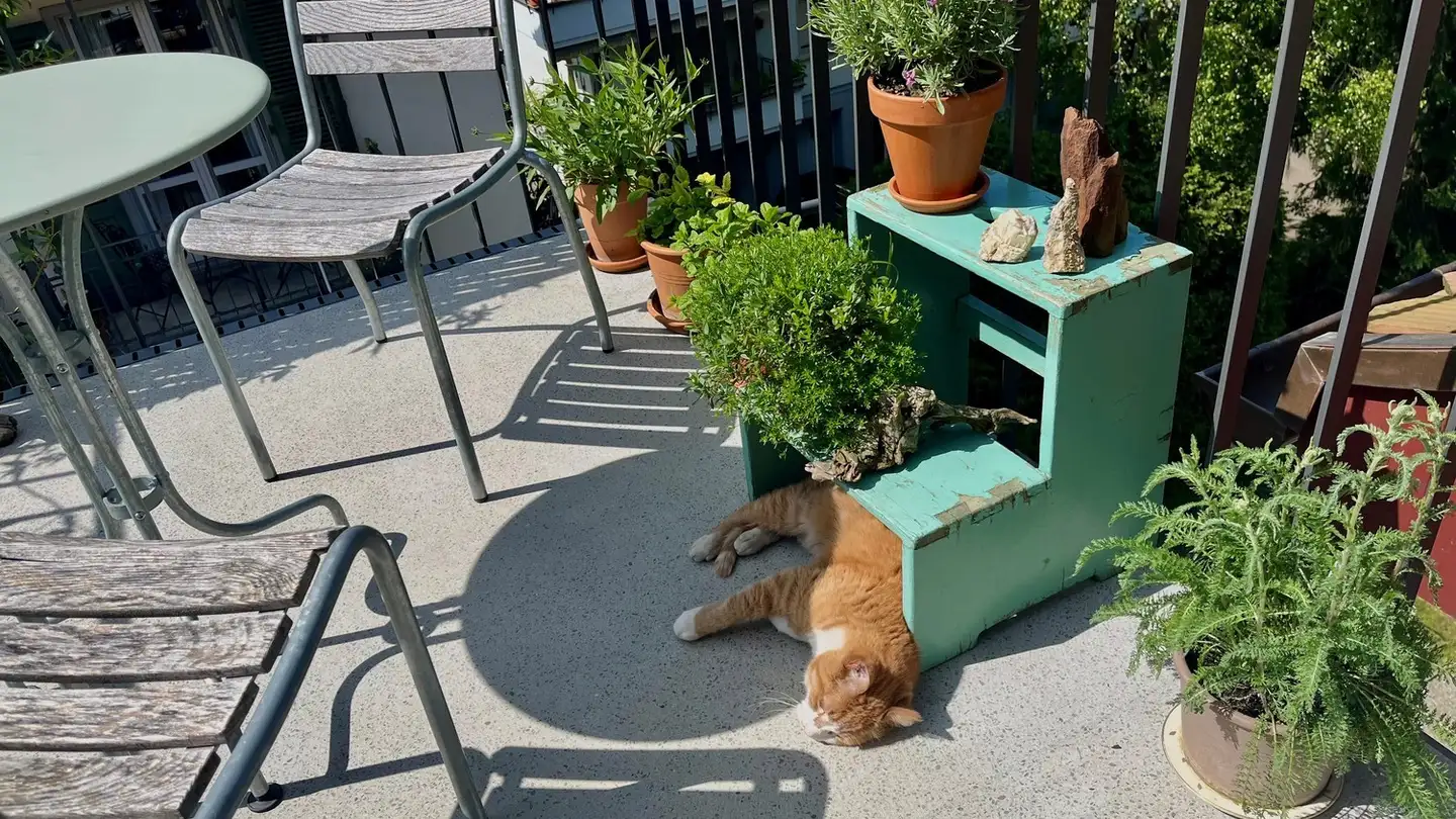 Apartment for rent - Pestalozzistrasse 36, 3007 Bern - Photo 3