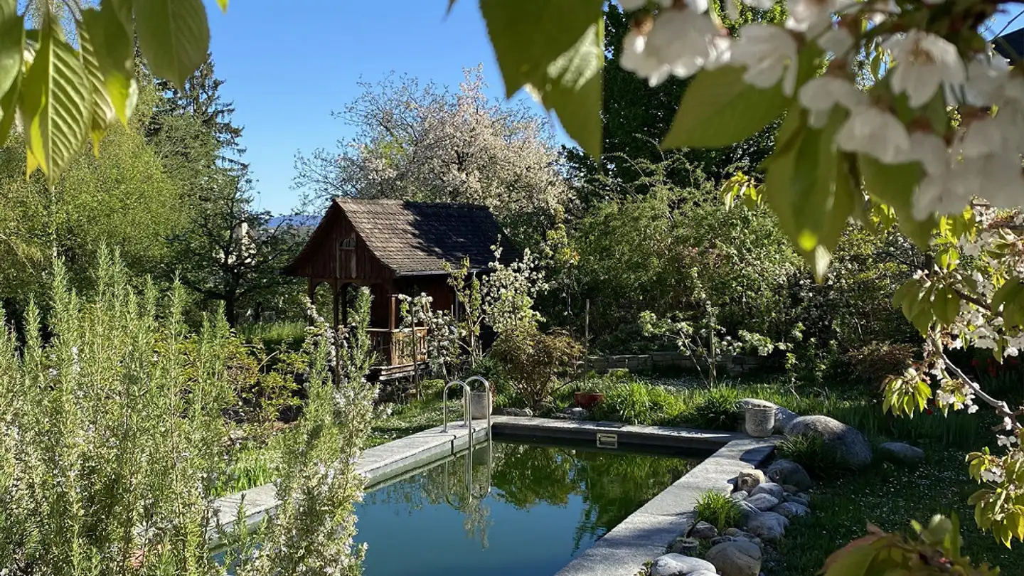 Single house for rent - 4102 Binningen - Photo 2