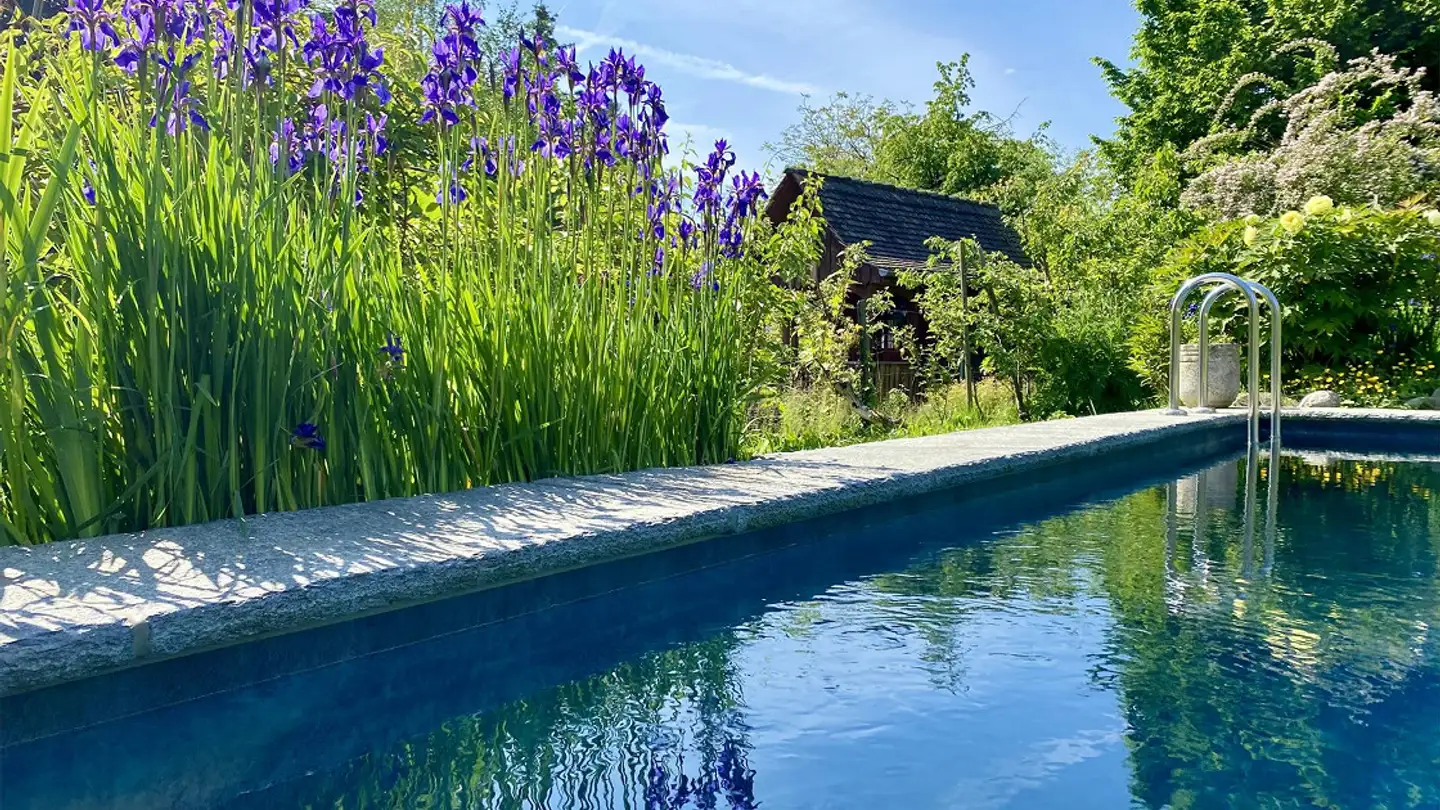 Single house for rent - 4102 Binningen - Photo 3