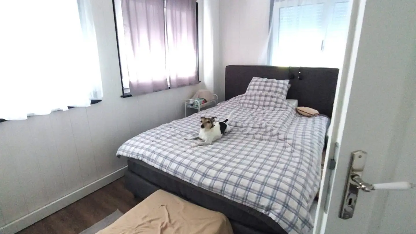 Apartment for rent - 4714 Aedermannsdorf - Photo 4