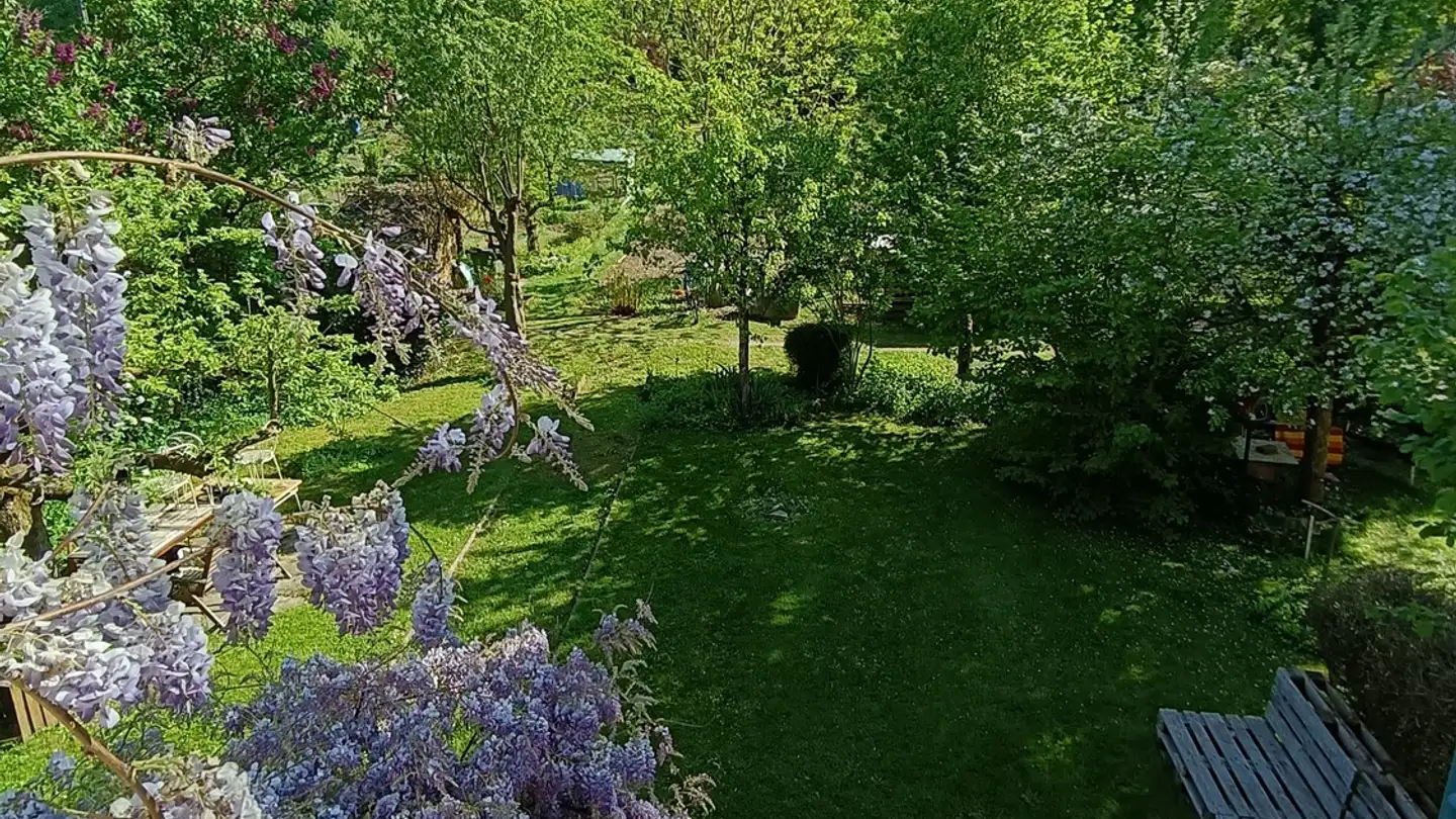 Wohnung mieten - 8400 Winterthur - Foto 2