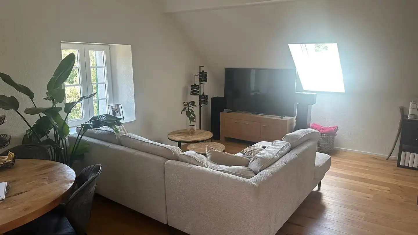 Appartamento in affitto - Hendschikerstrasse 14, 5600 Ammerswil AG - Foto 4