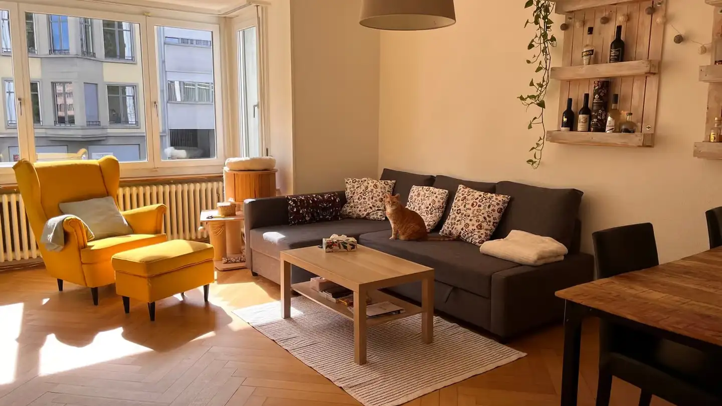 Wohnung mieten - Gartenstrasse 66, 4052 Basel