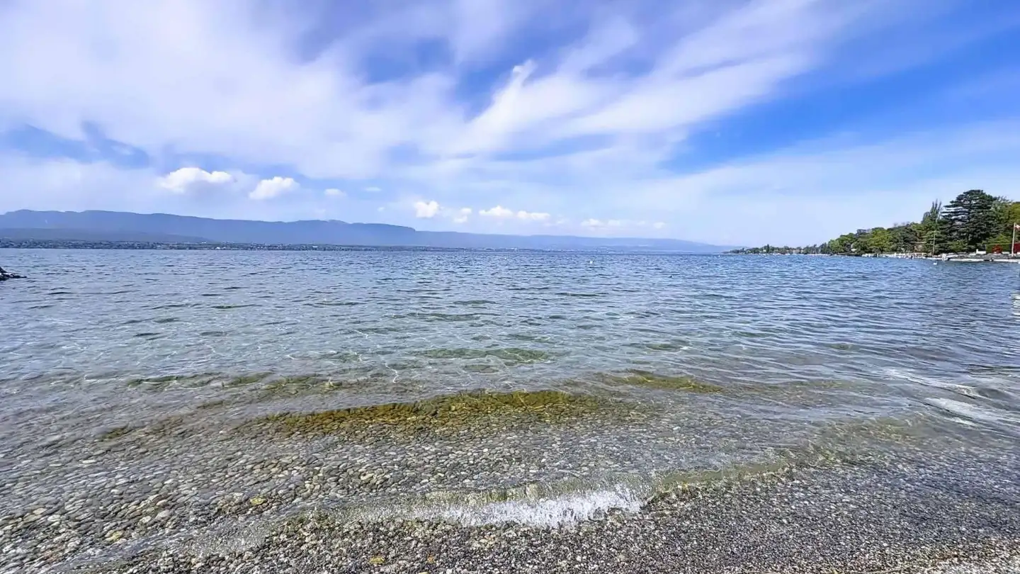 Villa for sale - 1247 Anières - Photo 3