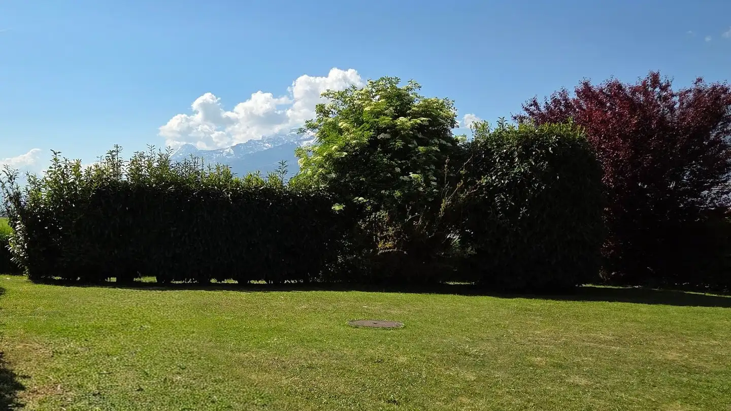Duplex for sale - 1860 Aigle - Photo 3