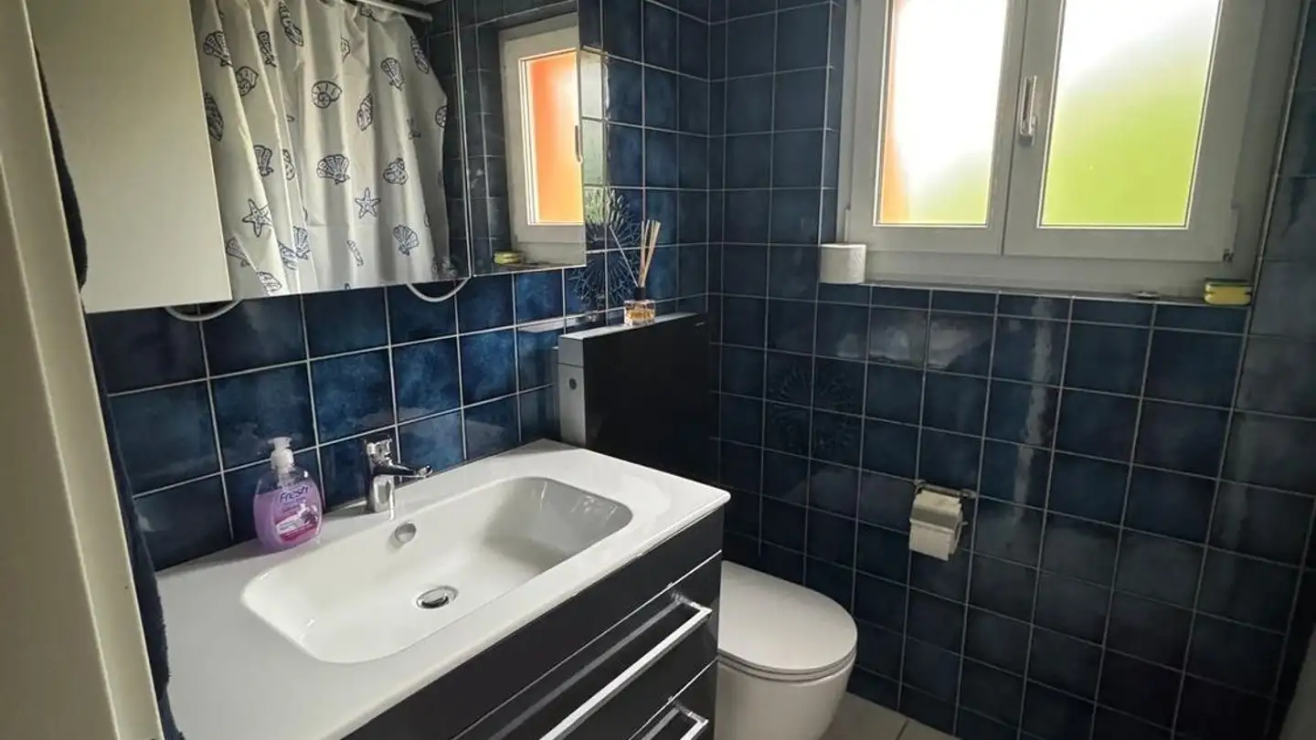 Single room for rent - 8102 Oberengstringen