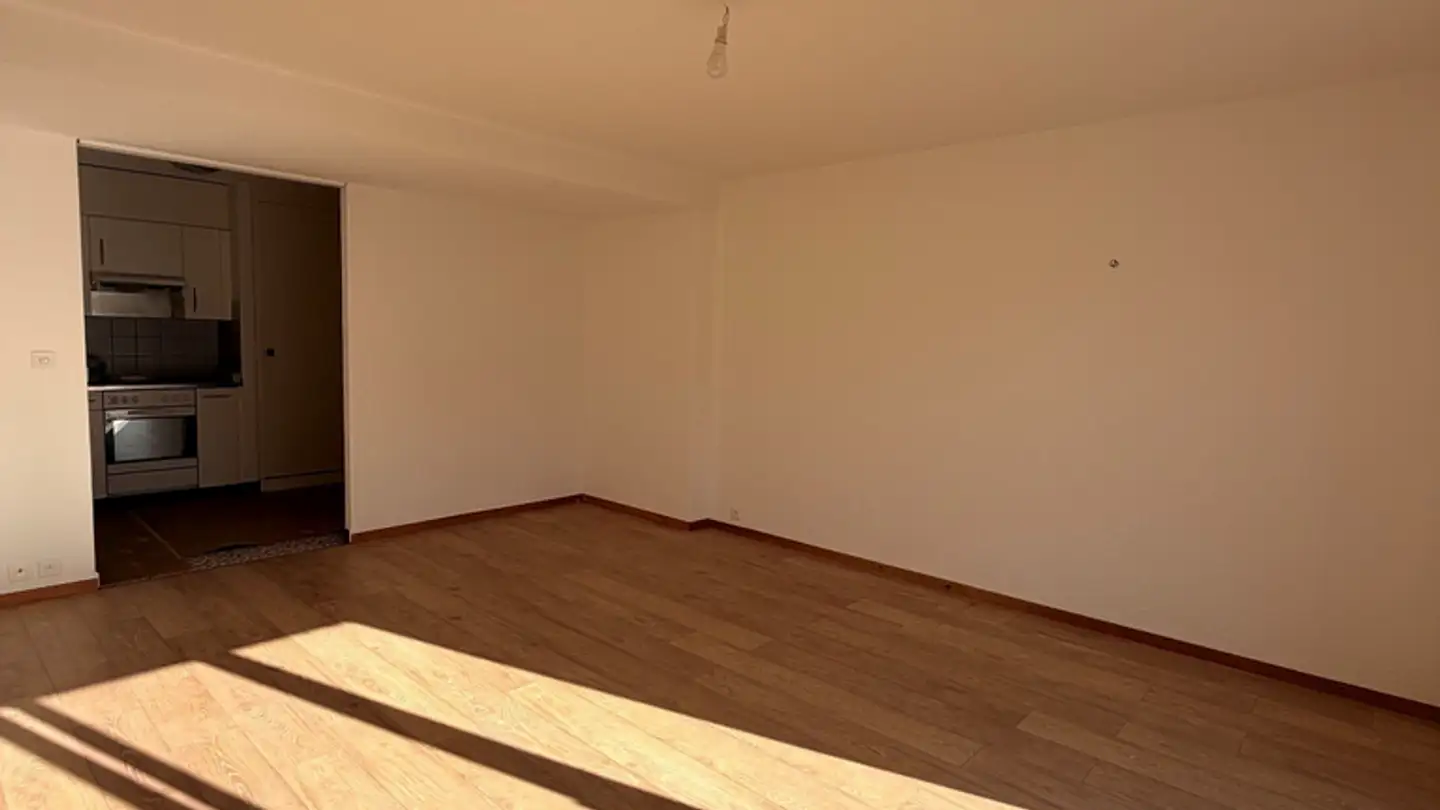 Appartement à louer - Route Z.I. La Vulpillière 2, 1070 Puidoux - Photo 3