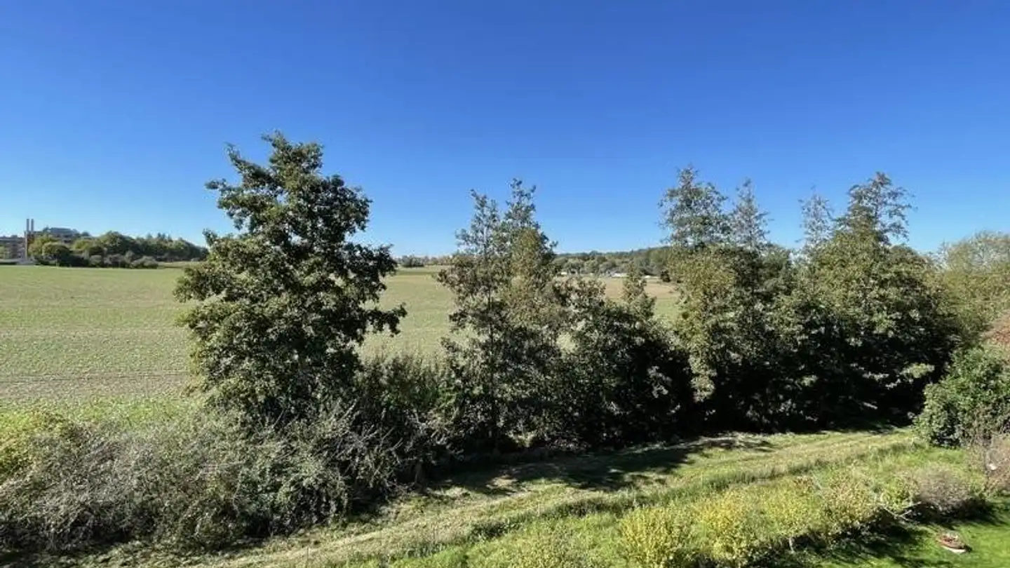 Appartamento in affitto - Wegmühlegässli 57a, 3072 Ostermundigen - Foto 4