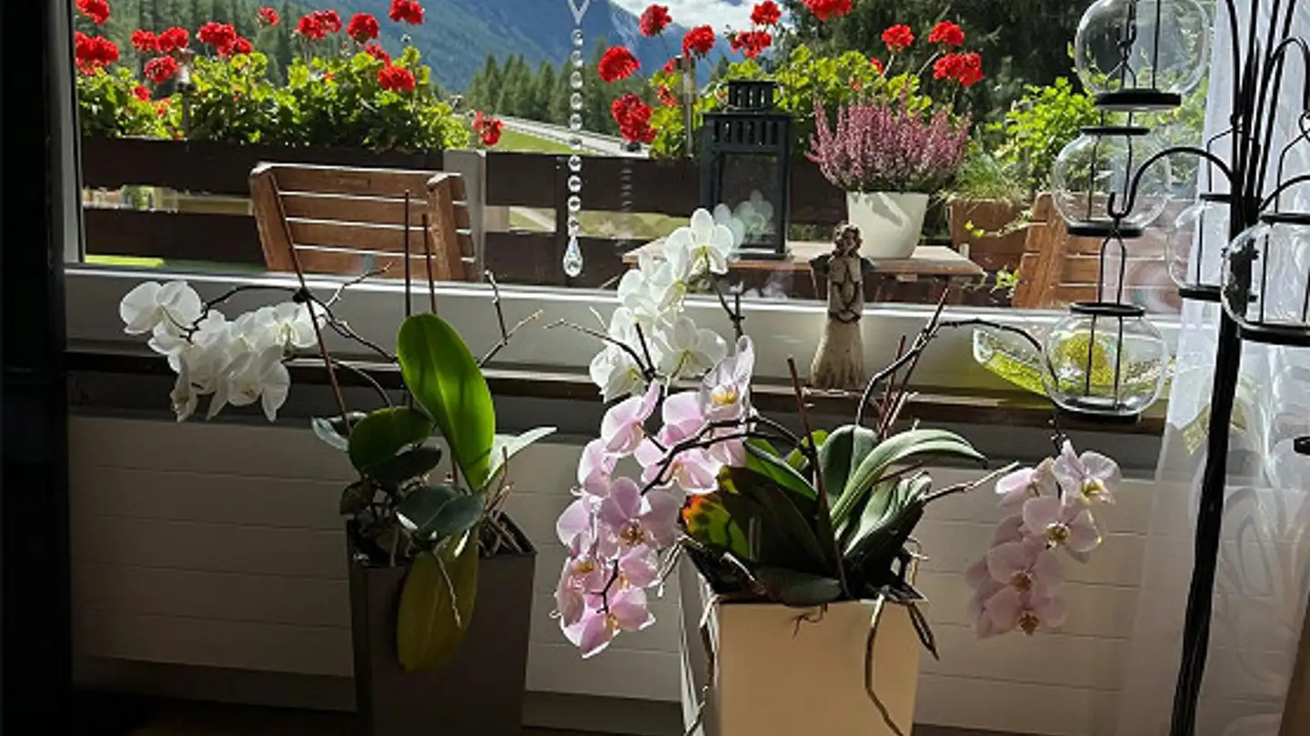 Appartamento in affitto - 3928 Randa
