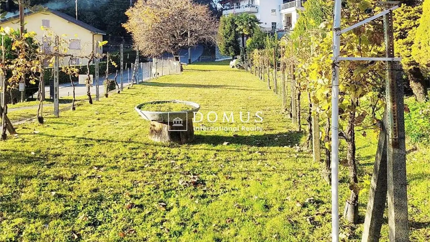 Bauland kaufen - Strada Della Castellanza, 6968 Sonvico - Foto 4