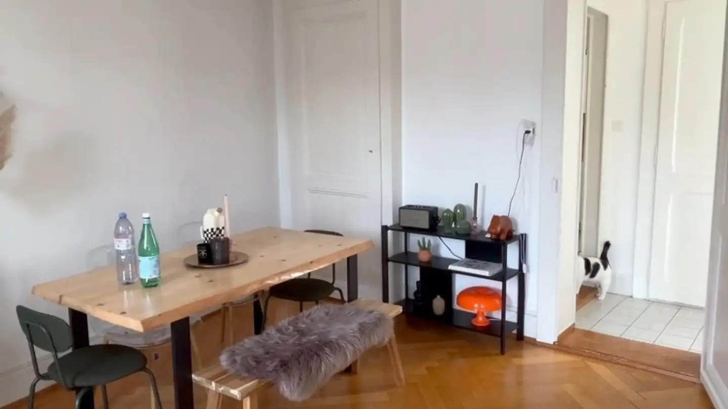 Appartamento in affitto - Rue Des Terreaux, 1003 Lausanne