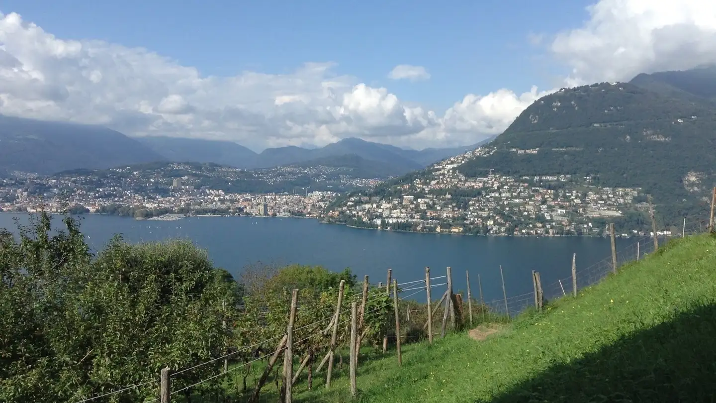 Single house for rent - Stráda Da Pügèrna 14, 6823 Pugerna - Photo 4