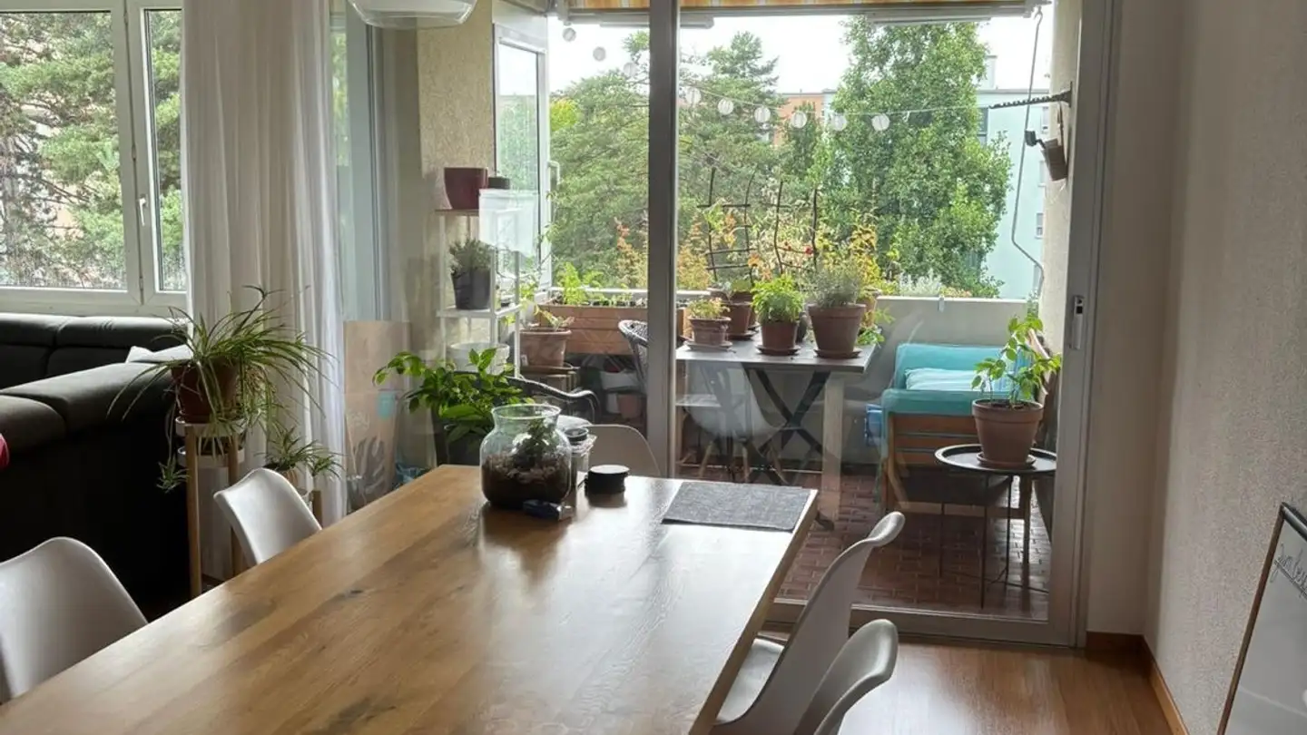 Appartamento in affitto - 8405 Winterthur - Foto 2