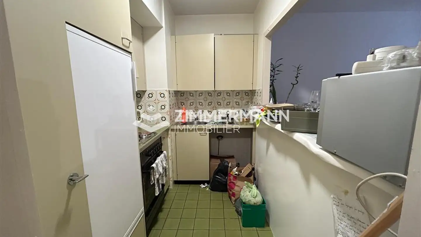 Apartment for rent - Rue Jacques- Dalphin, 1227 Carouge GE - Photo 3