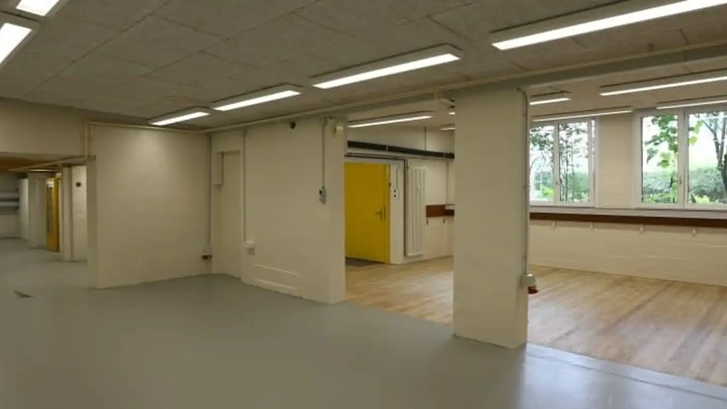 Commercial à louer - An Der Hohlen Gasse 12, 4058 Basel