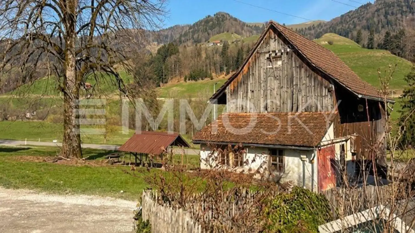 Constructible plot for sale - 8636 Wald ZH - Photo 4