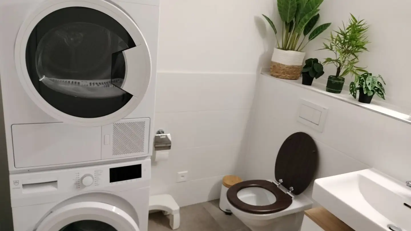 Wohnung mieten - Zur Stahlgiesserei 3, 8200 Schaffhausen