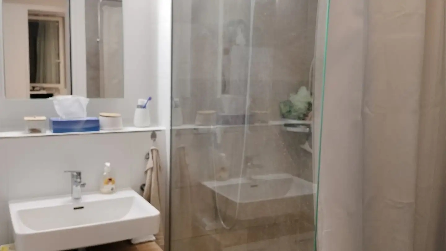 Wohnung mieten - Zur Stahlgiesserei 3, 8200 Schaffhausen - Foto 2