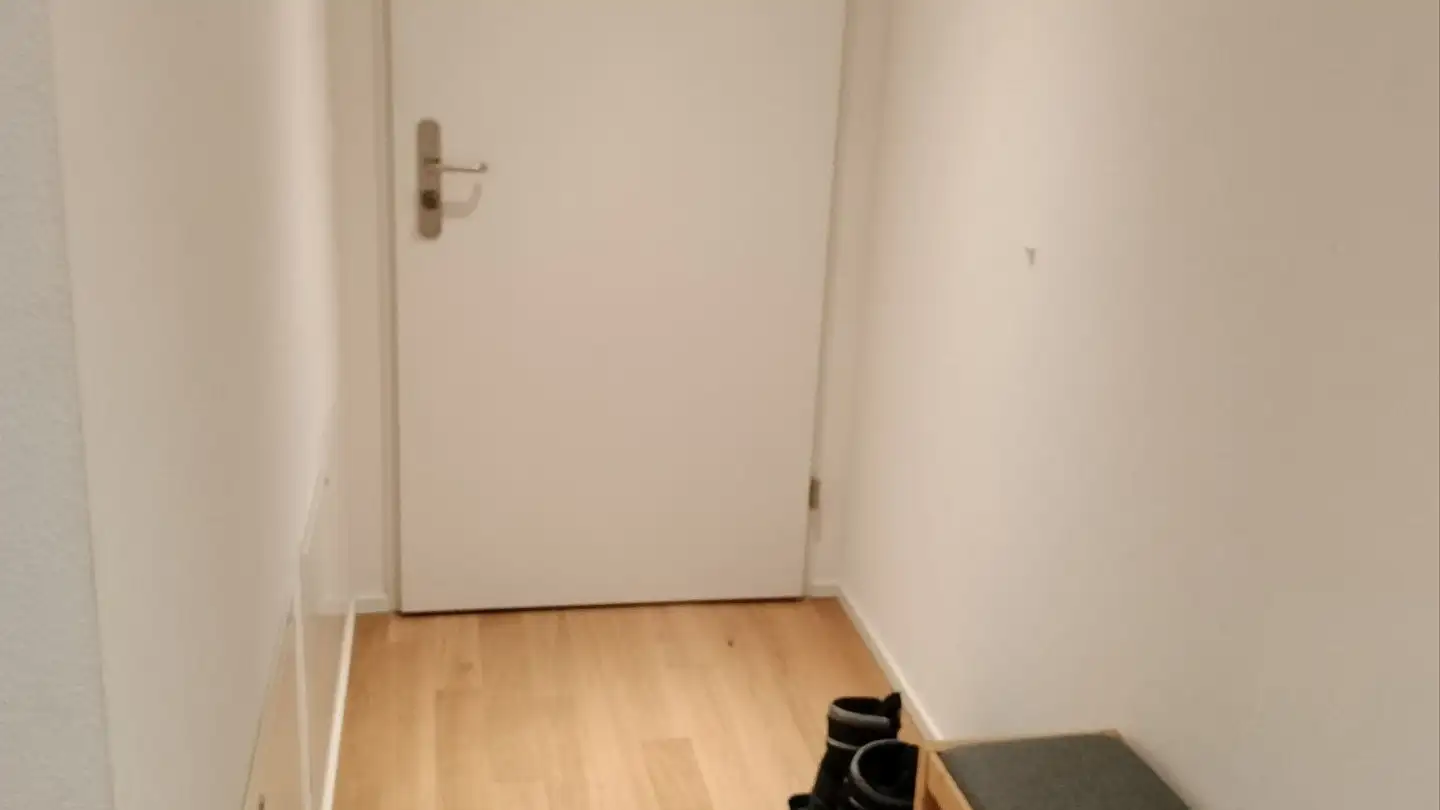 Wohnung mieten - Zur Stahlgiesserei 3, 8200 Schaffhausen - Foto 3