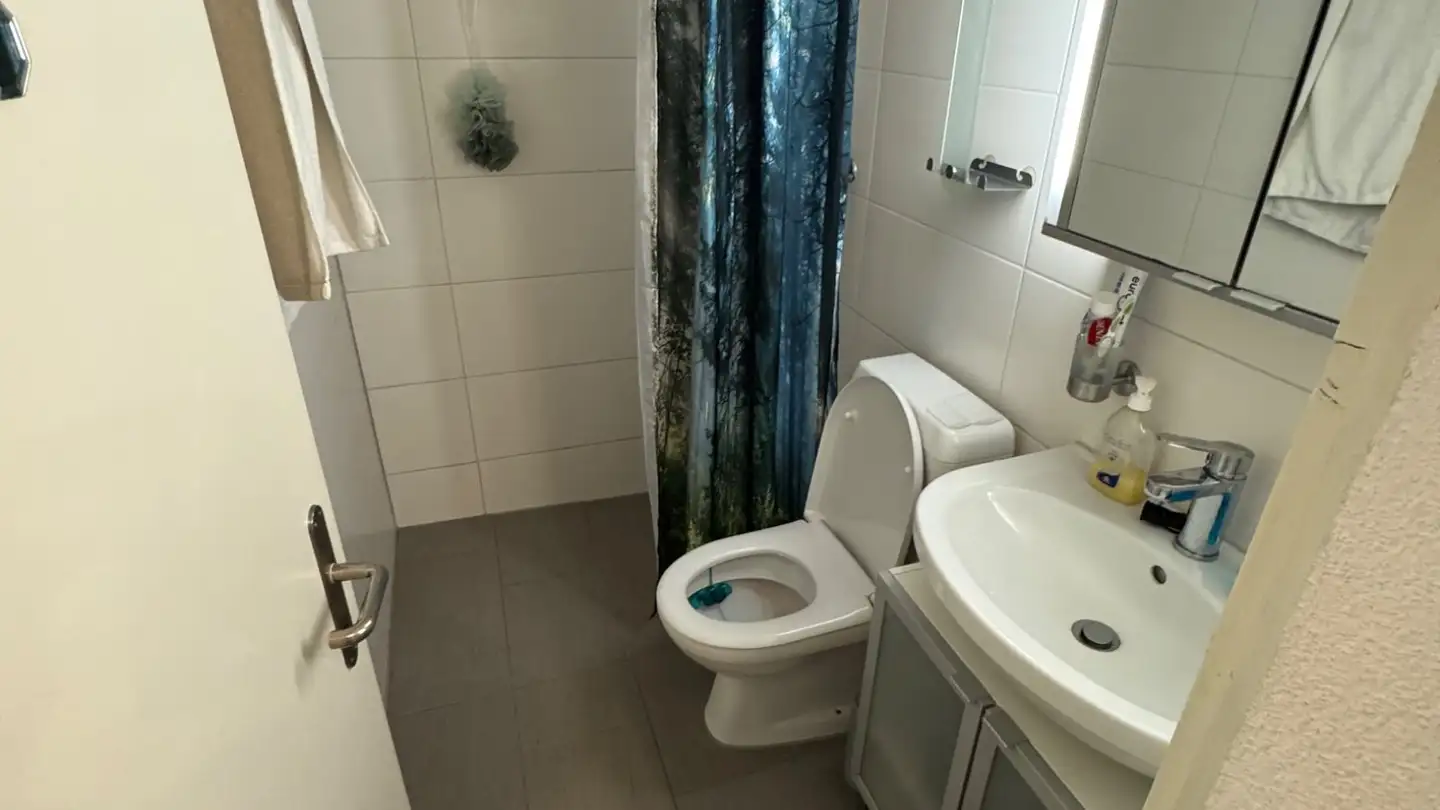 Wohnung mieten - Weingartenstrasse 16, 8269 Fruthwilen - Foto 4