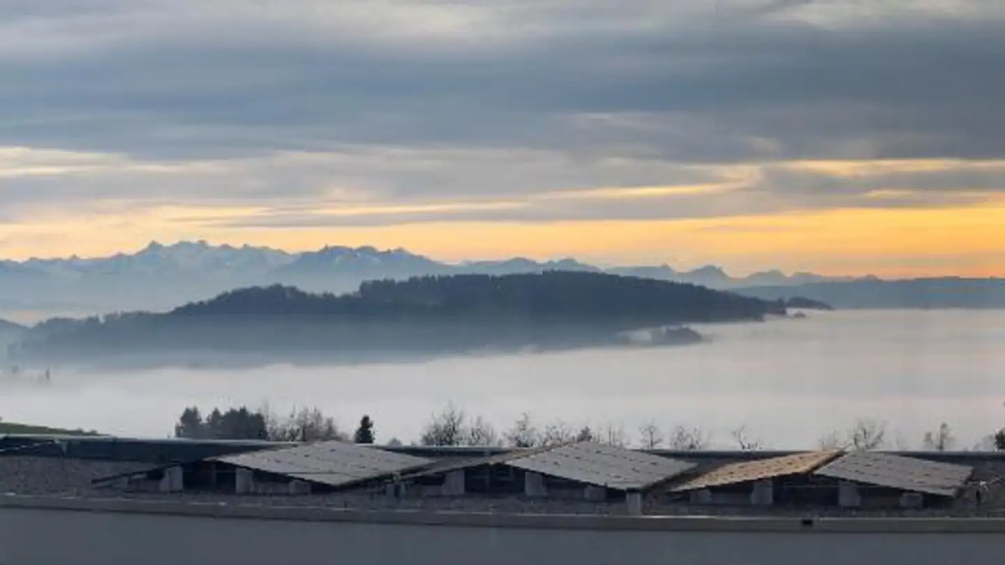 Studio à louer - Sonnhaldenstrasse 13, 8142 Uitikon Waldegg - Photo 4