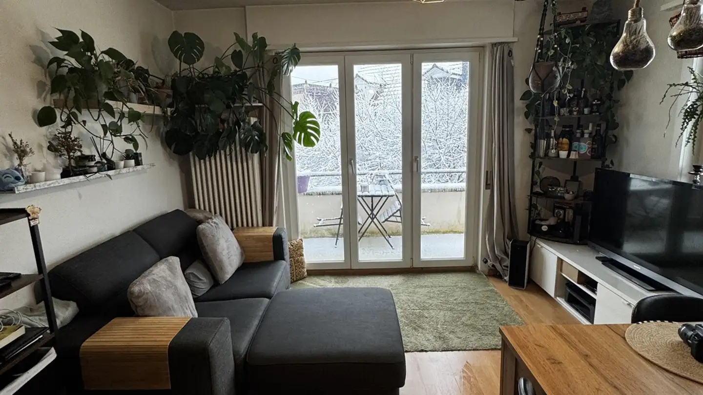 Appartement à louer - 8047 Zürich