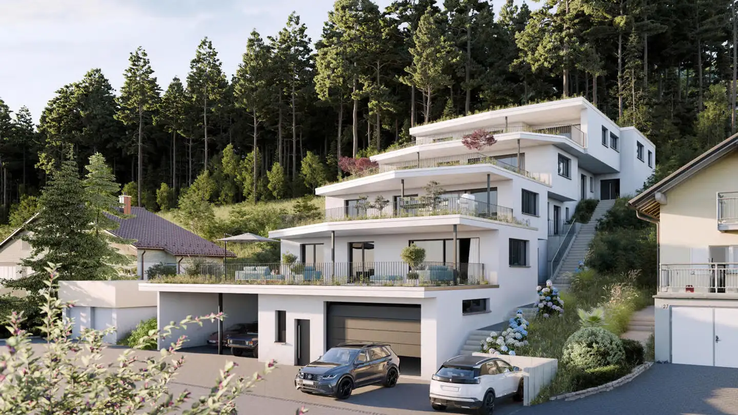 Maison en terrasse à vendre - Allerrietstrasse 25, 8222 Beringen