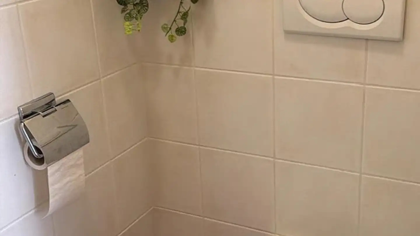 Single room for rent - Rue Merle-d'Aubigné, 1207 Genève - Photo 2